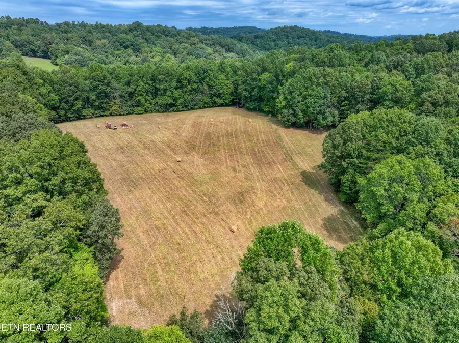 303 Tar Town Hollow Lane, Lafollette, TN 37766 - #2