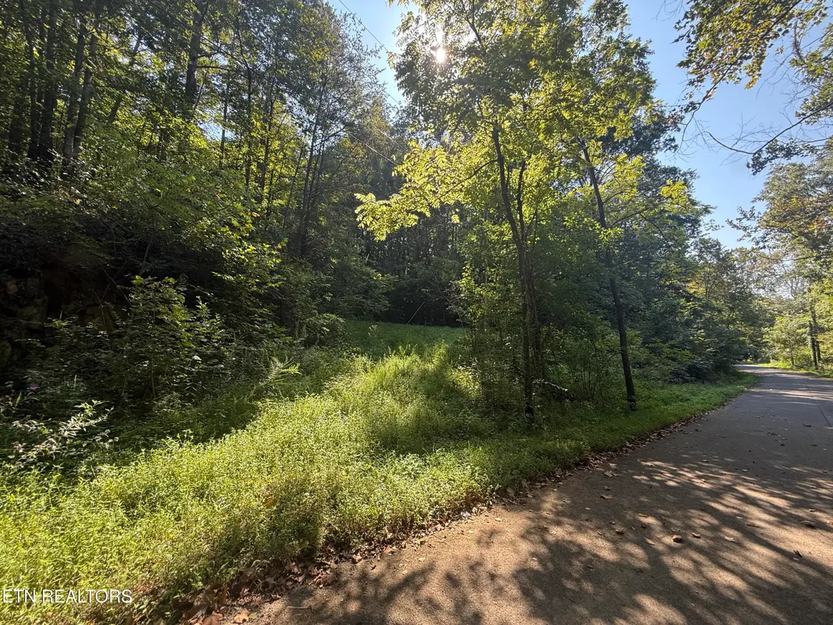Community Park Rd, Seymour, TN 37865 - #1