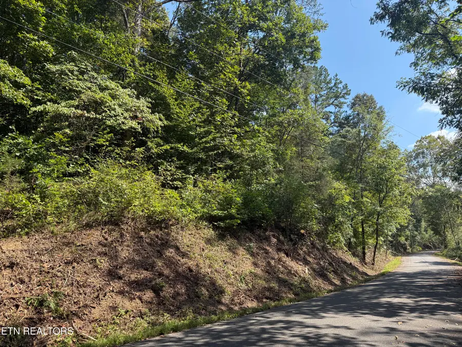 Community Park Rd, Seymour, TN 37865 - #2