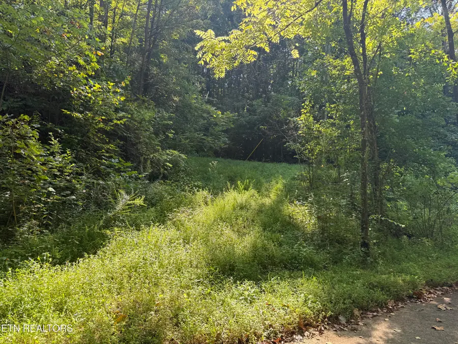 Community Park Rd, Seymour, TN 37865 - #3