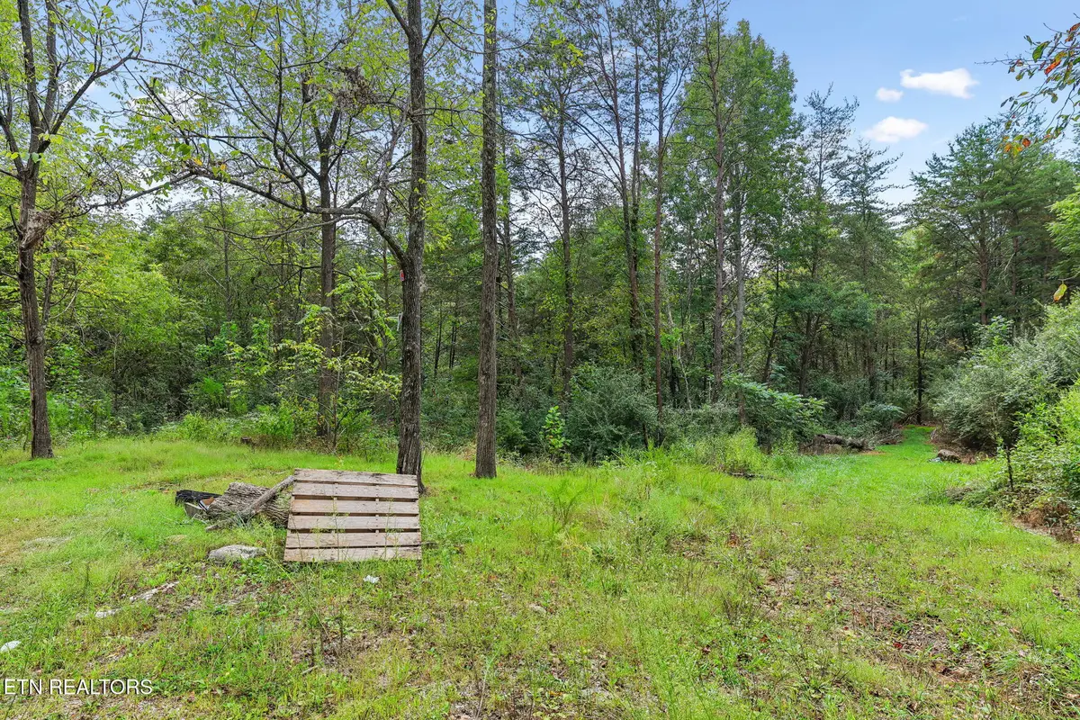 Sawmill Rd #3, Palmer, TN 37365 - #1