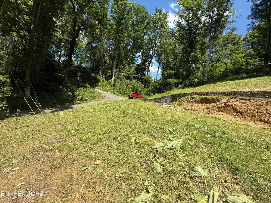 229 Silverbell Lane #3301, Gatlinburg, TN 37738 - #2