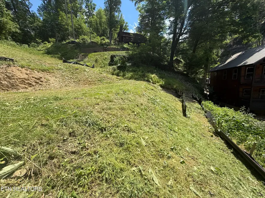 229 Silverbell Lane #3301, Gatlinburg, TN 37738 - #3