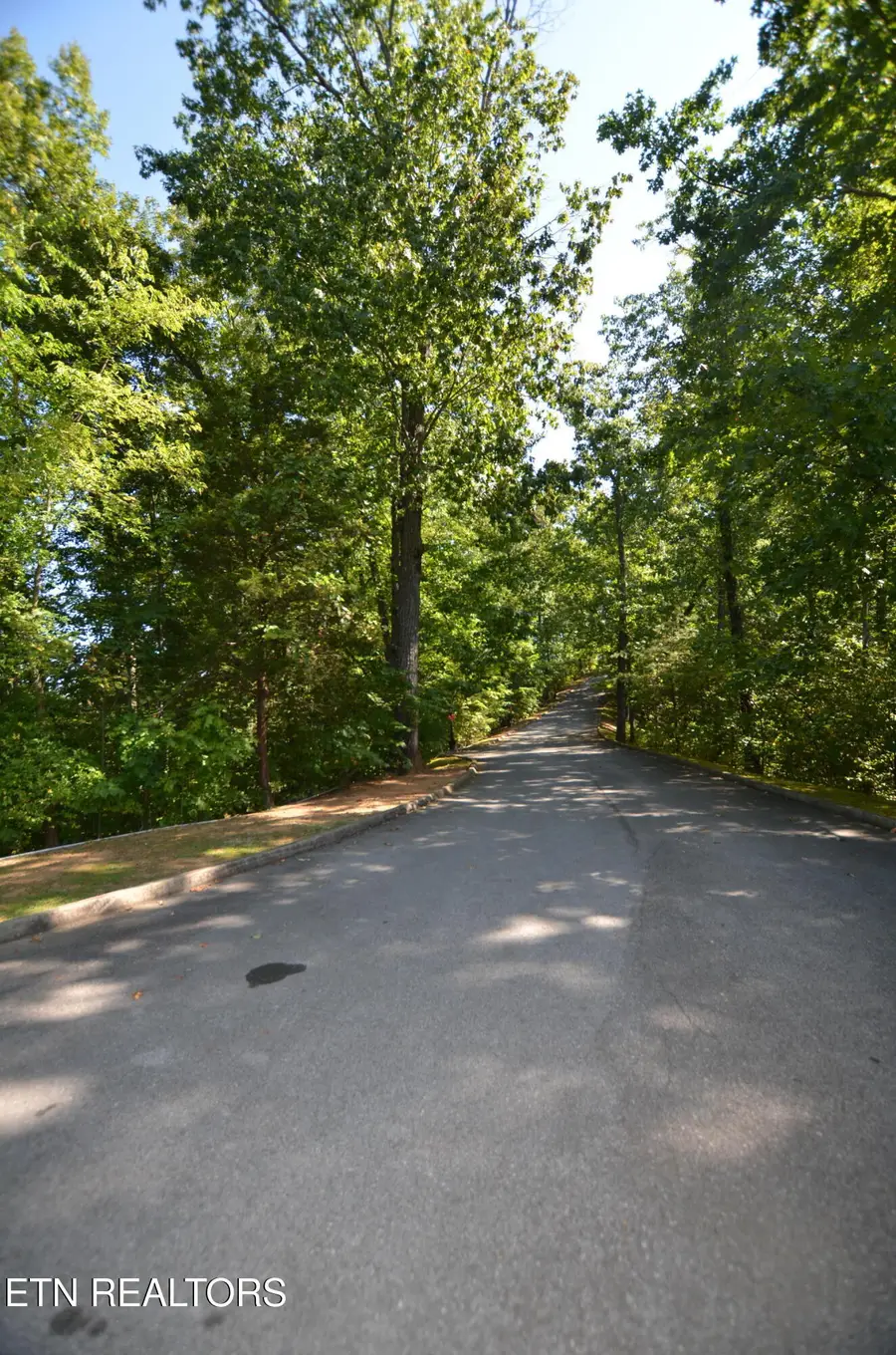 Hawks Nest Way, Sevierville, TN 37862 - #3