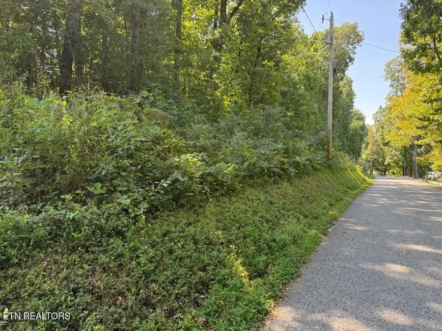 Powder Mill Lane, Lafollette, TN 37766 - #3