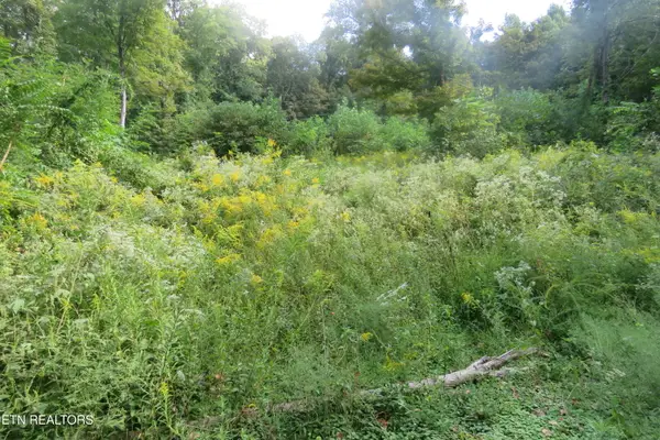 0 Watauga Rd, Cookeville, TN 38506