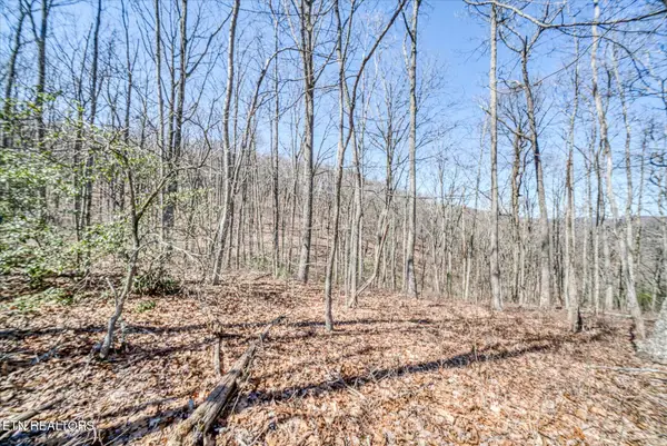lot734&735 Renegade Mountain Pkwy, Crab Orchard, TN 37723