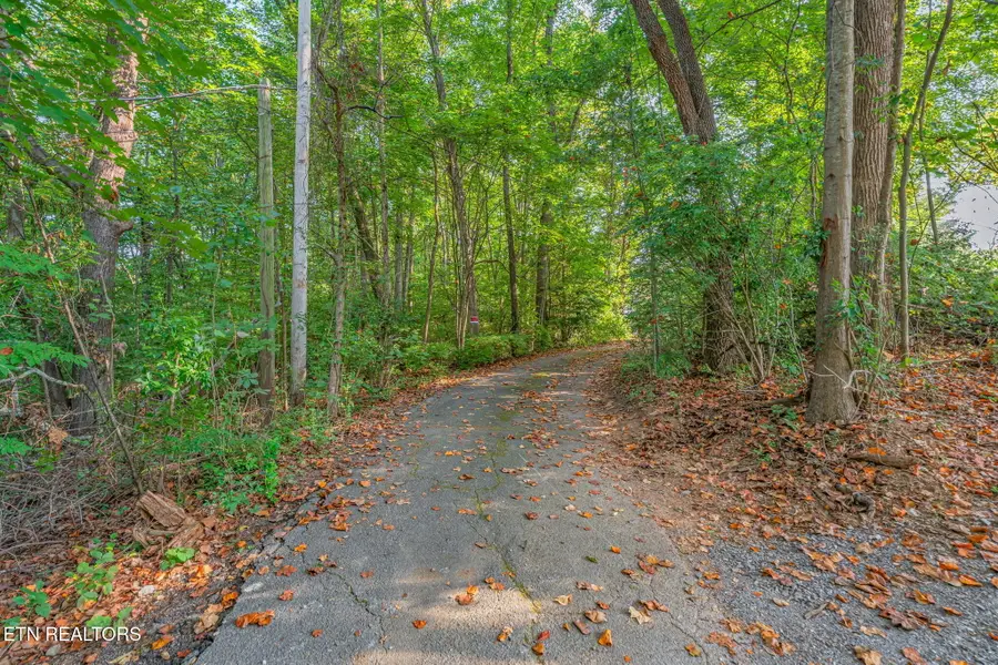 4400 Clinch View Lane, Knoxville, TN 37931 - #3