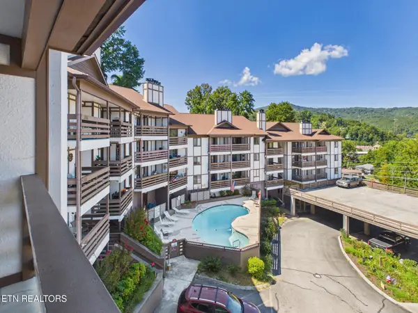 616 Turkey Nest Rd #306, Gatlinburg, TN 37738