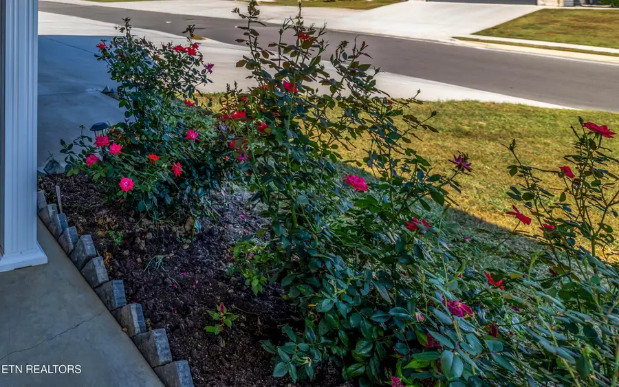 7622 Bailey Landing Lane, Knoxville, TN 37931 - #3