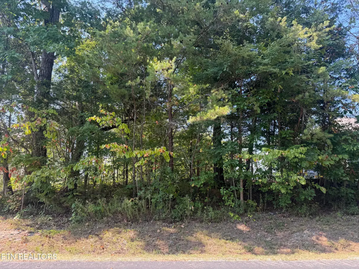 434 Igoti Lane, Loudon, TN 37774 - #1
