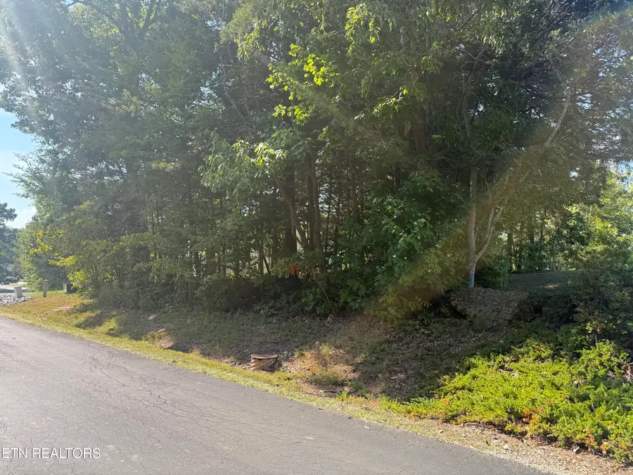434 Igoti Lane, Loudon, TN 37774 - #3