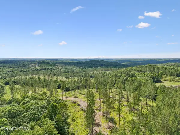 Sheep Ranch Rd #24, Robbins, TN 37852