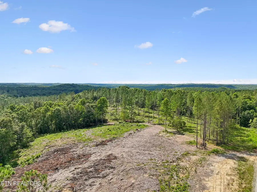 Sheep Ranch Rd #24, Robbins, TN 37852 - #2