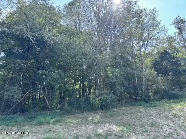 Decatur Pike, Athens, TN 37303 - #2