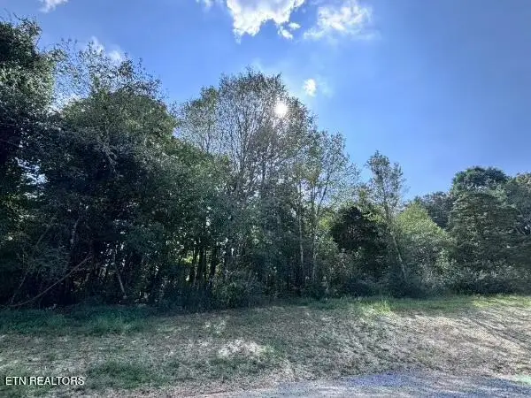 Decatur Pike, Athens, TN 37303 - #3