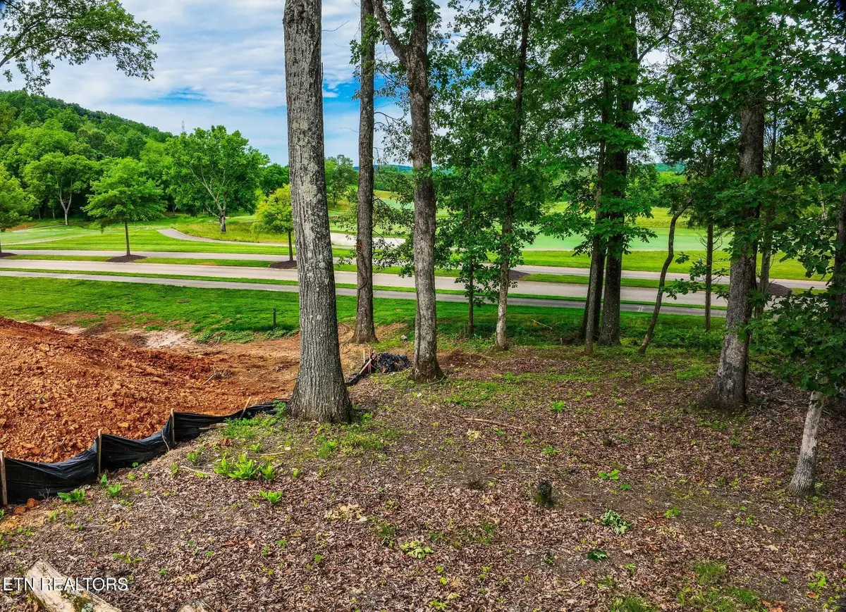 702 Blackrock Run, Loudon, TN 37774 - #1