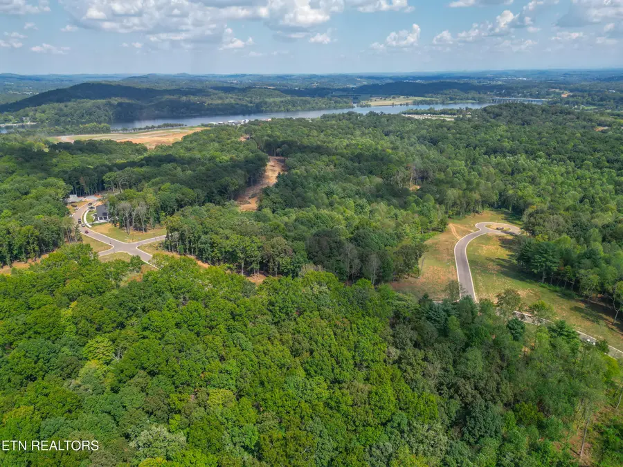 215 Flip Flop Way, Loudon, TN 37774 - #2