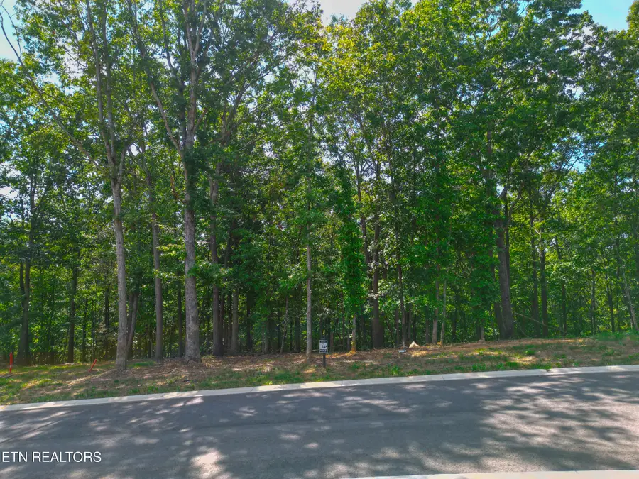 215 Flip Flop Way, Loudon, TN 37774 - #3