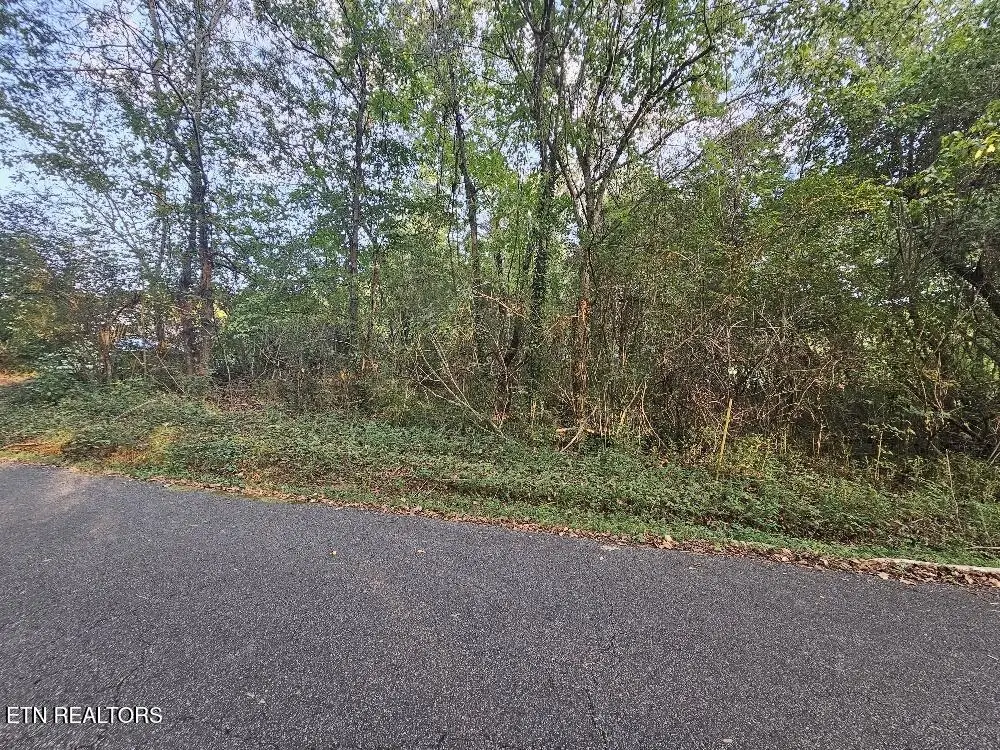 Lot# 96 River Rd, Kingston, TN 37763 - #1