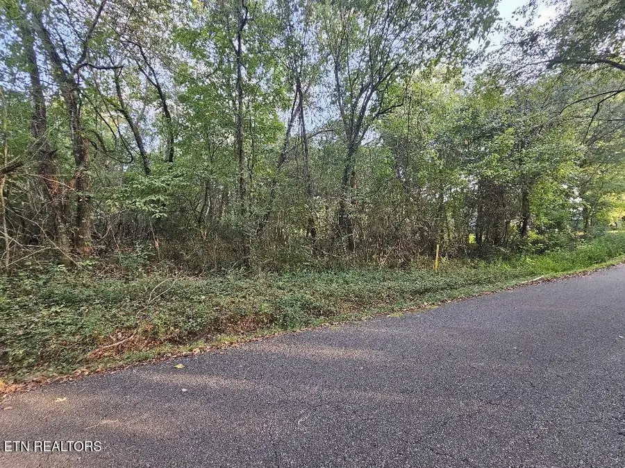 Lot# 96 River Rd, Kingston, TN 37763 - #3