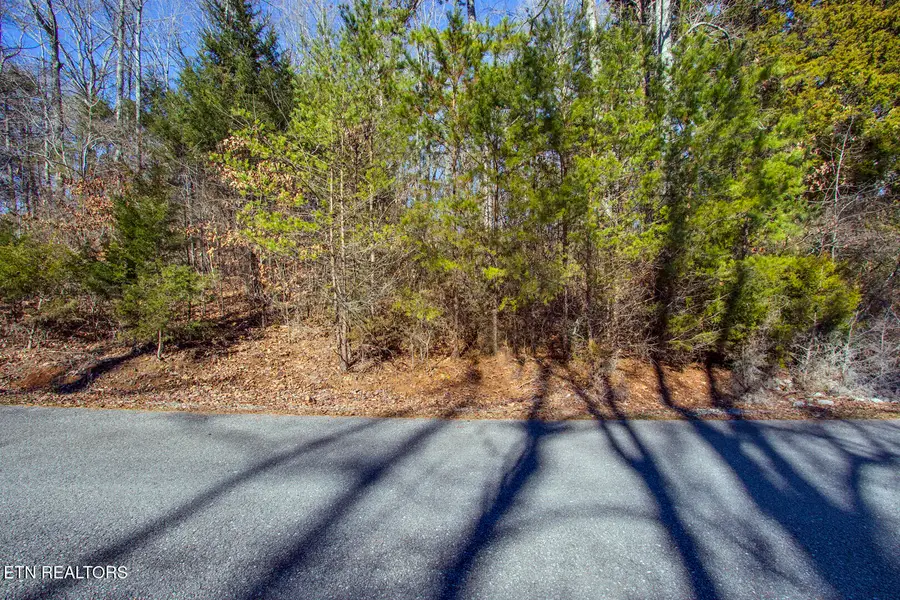 The Gates Drive #61, Decatur, TN 37322 - #2