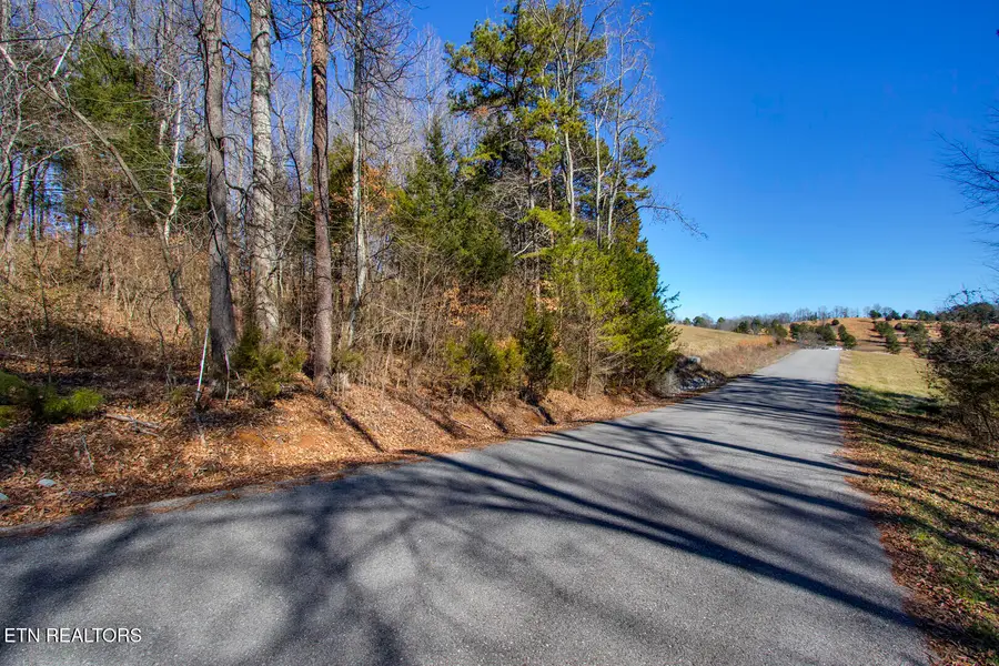 The Gates Drive #61, Decatur, TN 37322 - #3