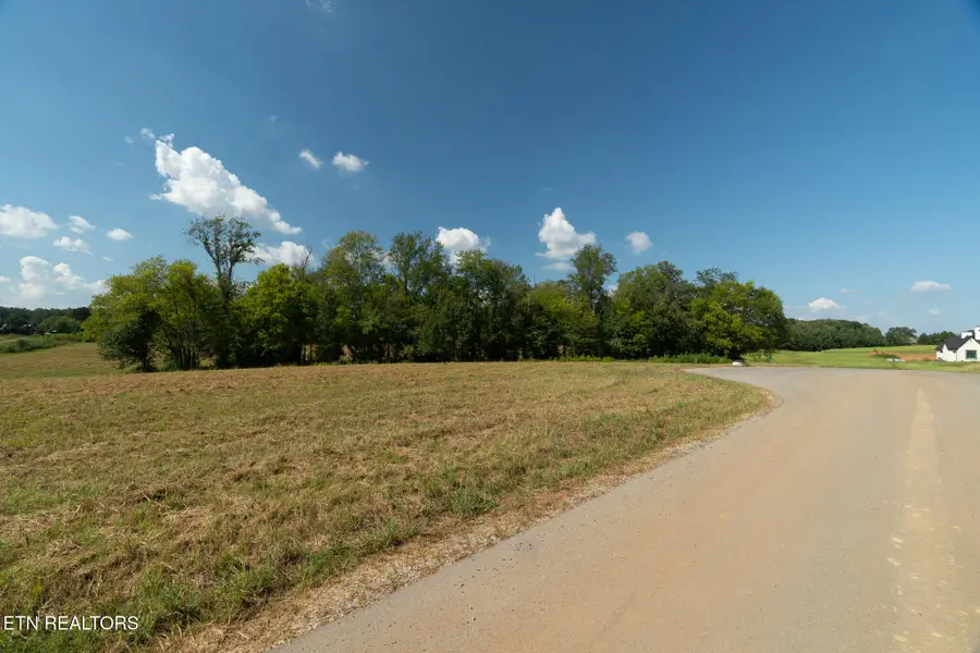 Lot 5 Tristar Way, Seymour, TN 37865 - #2