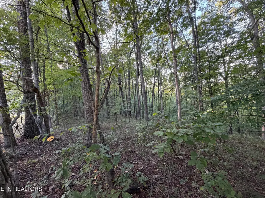 Lot 11 Poston, Monterey, TN 38574 - #3
