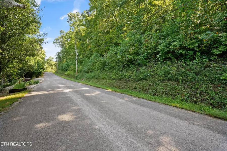 Cove Pointe Rd, Lafollette, TN 37766 - #3