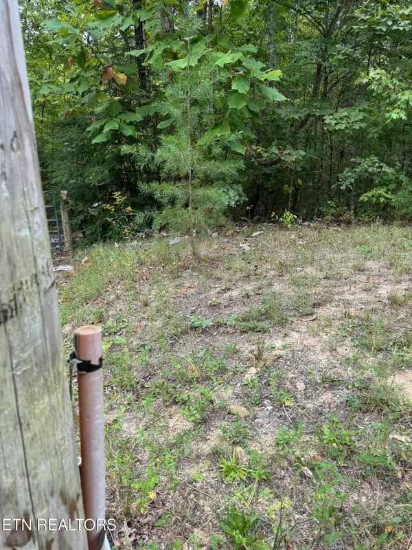 Wildcat Rd, Jamestown, TN 38556