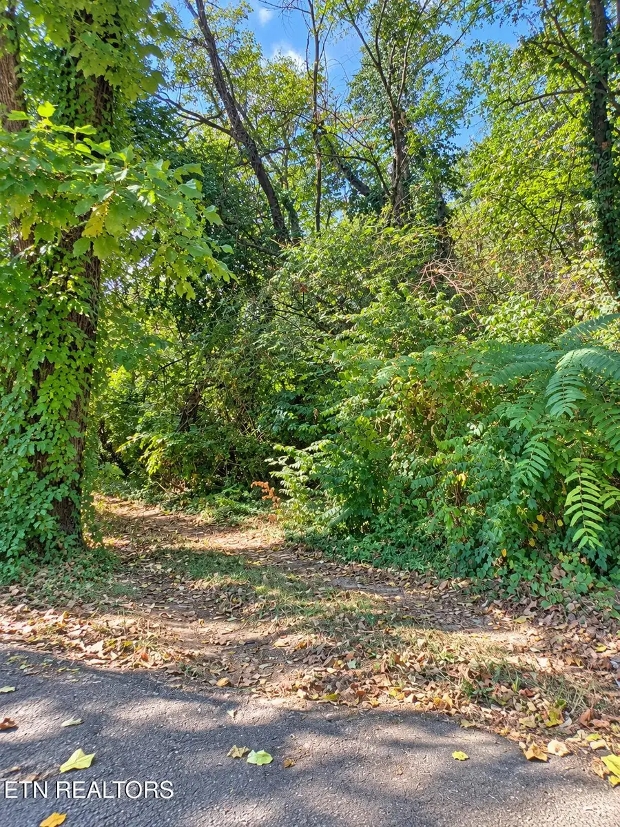 1105 Maryland Ave, Knoxville, TN 37921 - #3