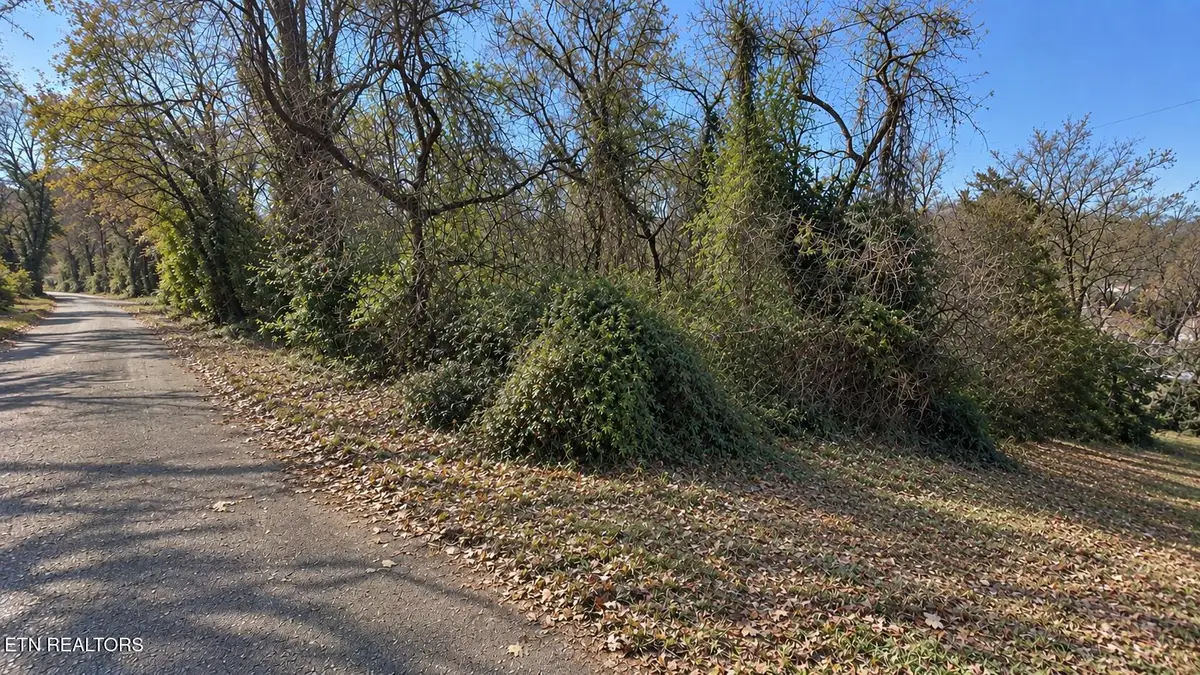 0 Maryland Ave, Knoxville, TN 37921 - #1