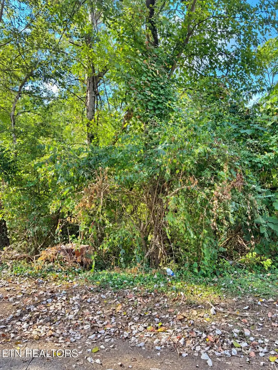 0 Maryland Ave, Knoxville, TN 37921 - #3