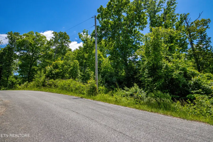 Horseshoebend, Speedwell, TN 37870 - #2