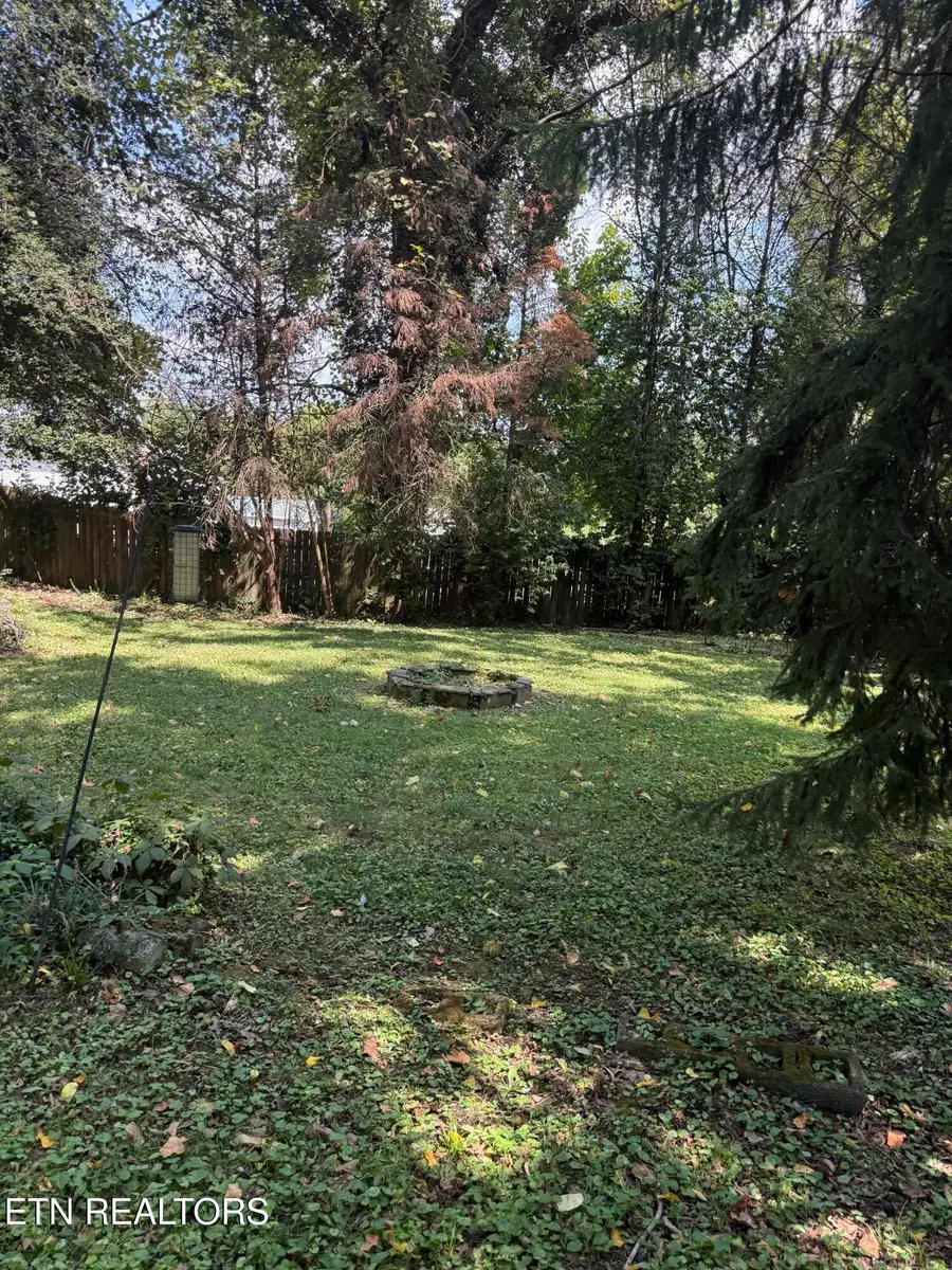 922 Chickamauga Ave, Knoxville, TN 37917 - #3