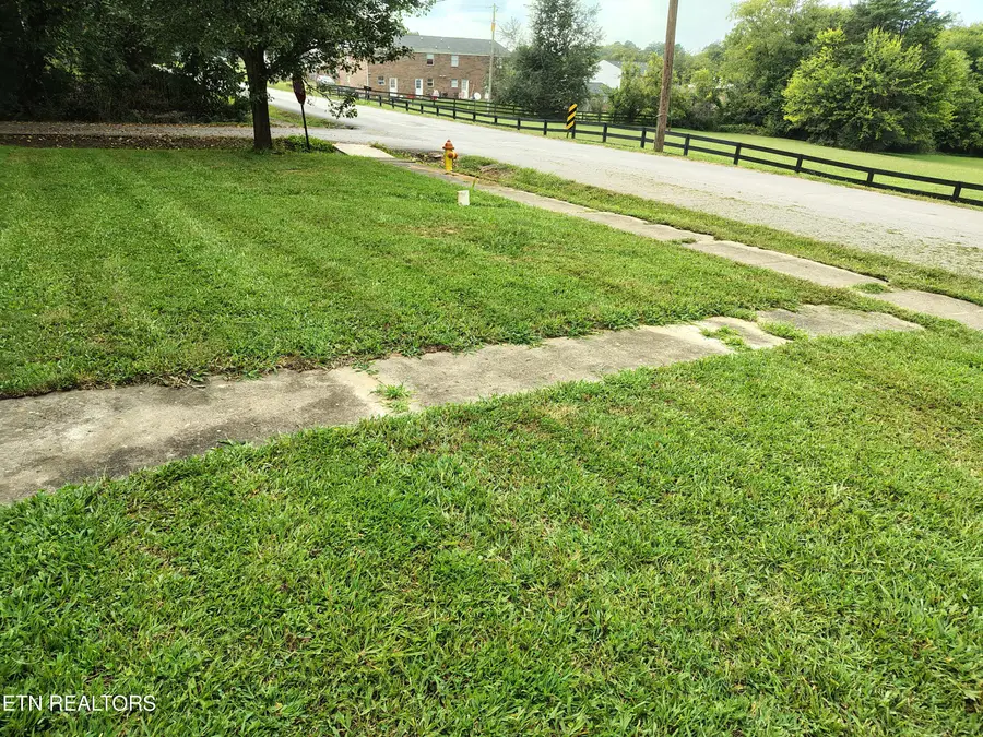 401 E Farrell St, Niota, TN 37826 - #2