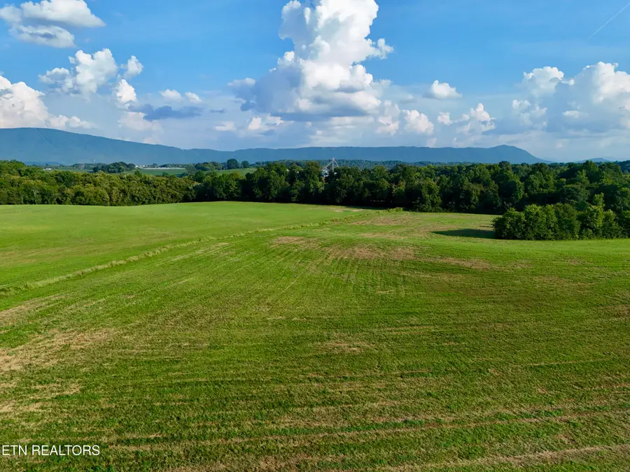 Dentville Rd, Delano, TN 37325 - #2