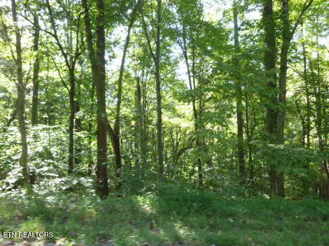 Bankston Lane #129A A 061.00, Lafollette, TN 37766 - #3