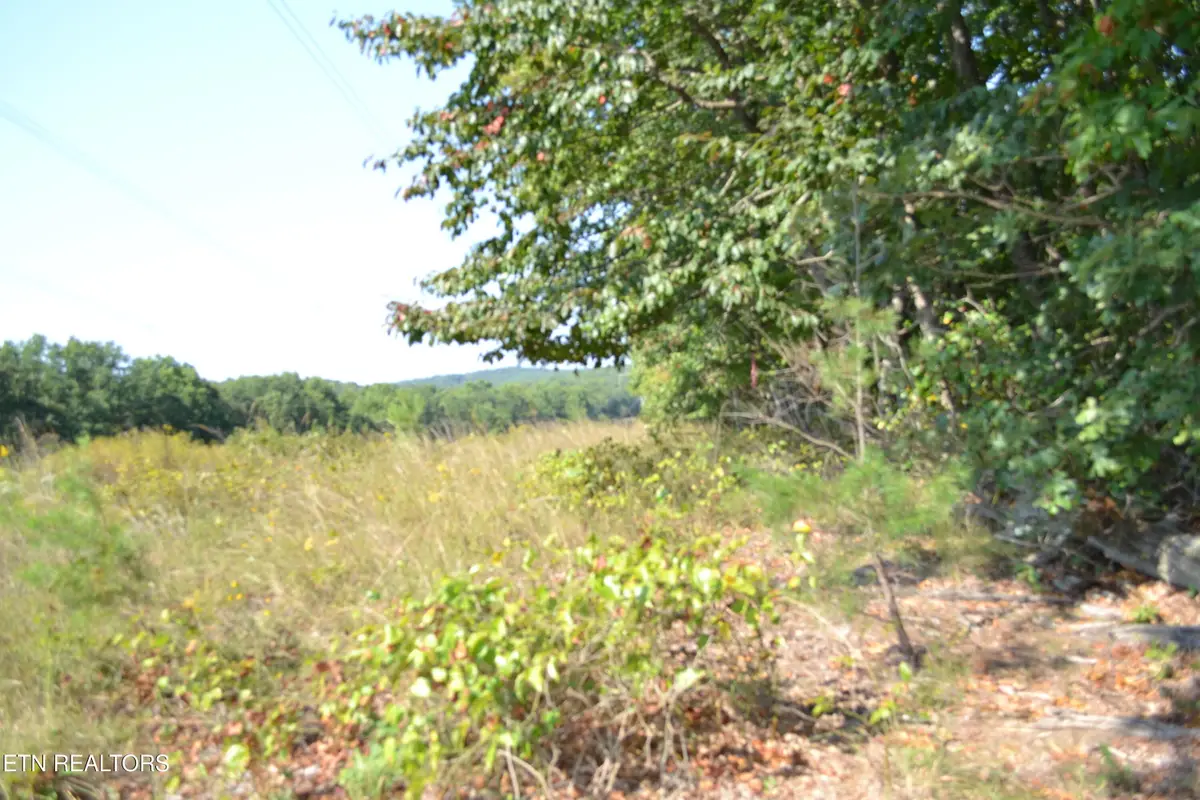 2156 Street Place Loop Loop, Monterey, TN 38574 - #1