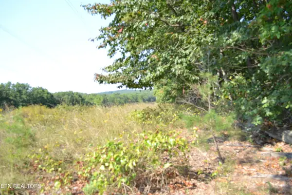 2156 Street Place Loop Loop, Monterey, TN 38574