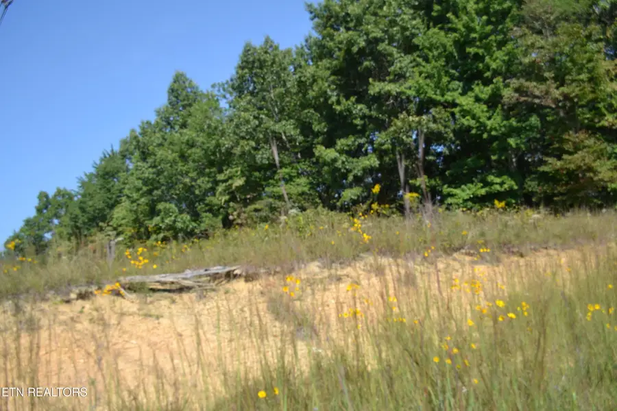 2156 Street Place Loop Loop, Monterey, TN 38574 - #2