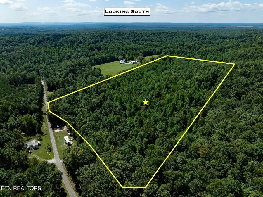 160 John Cox Rd, Deer Lodge, TN 37726 - #3