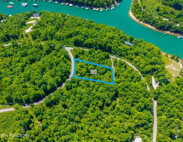 Lot 100 Saddleridge Drive, Speedwell, TN 37870