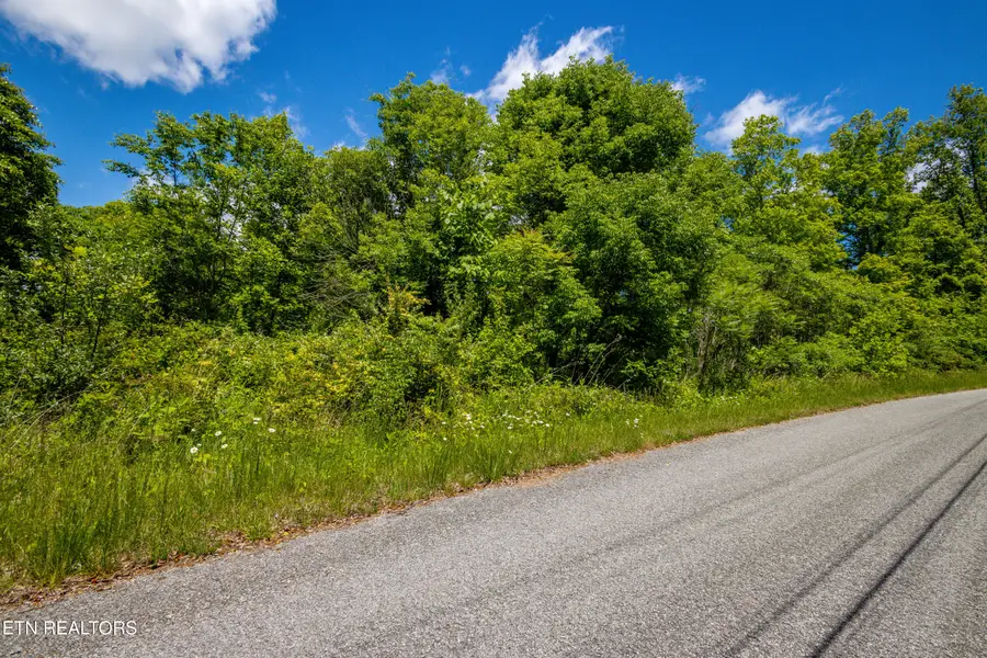 Lot 100 Saddleridge Drive, Speedwell, TN 37870 - #2