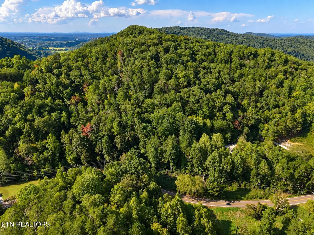 Lot 1 & 2 Pittman Center Rd, Sevierville, TN 37876 - #1