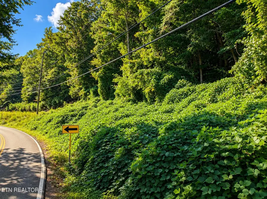 Lot 1 & 2 Pittman Center Rd, Sevierville, TN 37876 - #3