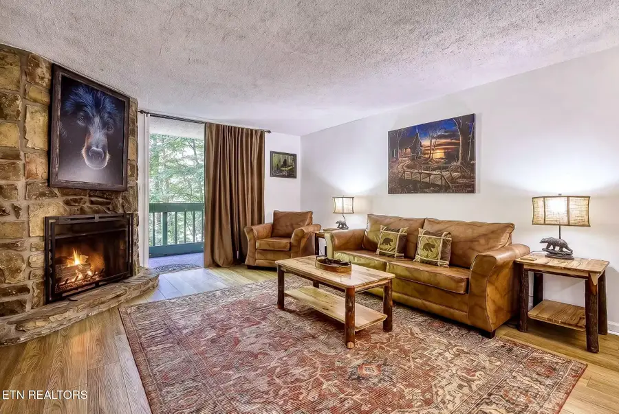 1435 Wiley Oakley Drive #APT 155, Gatlinburg, TN 37738 - #3
