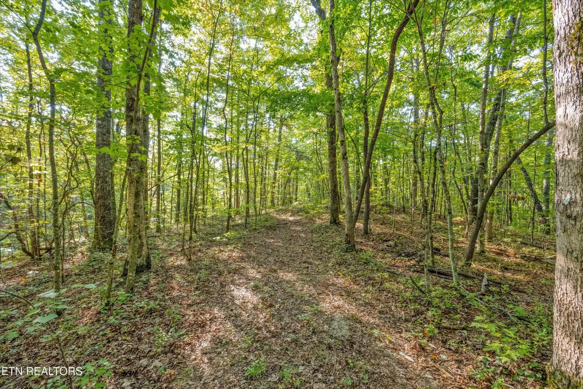 6637 Avens Lane, Tallassee, TN 37878 - #1