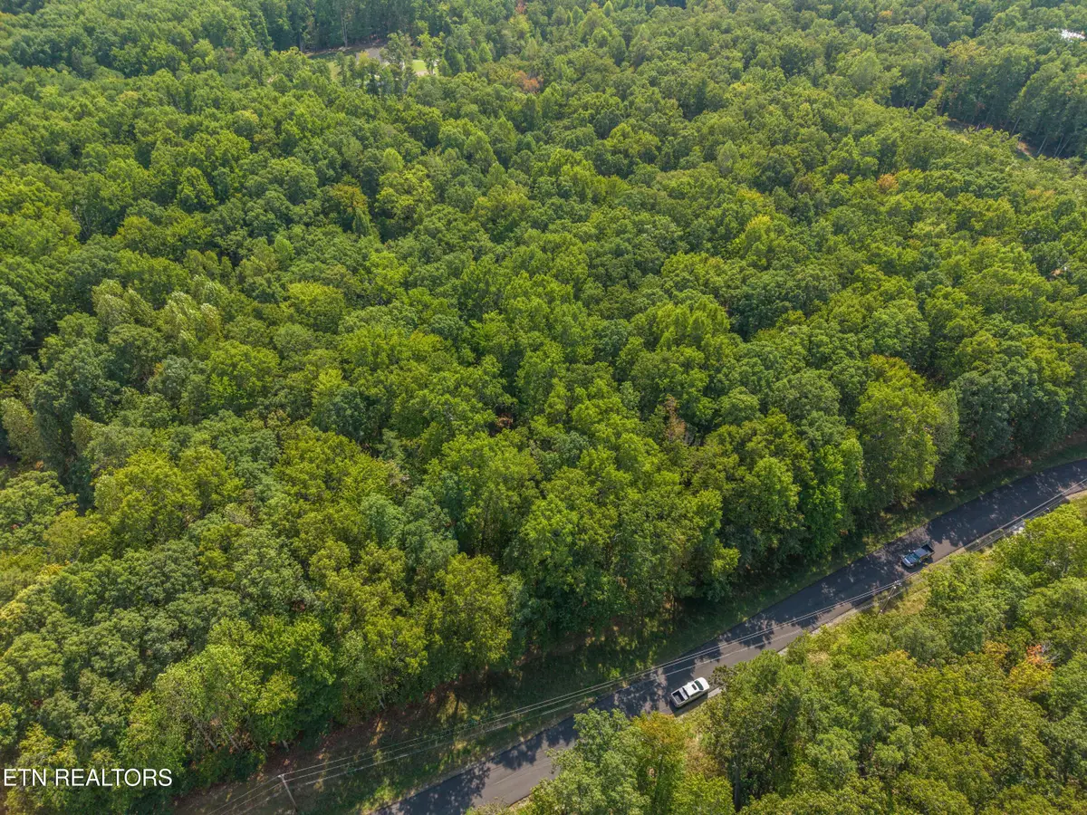 Sawmill Rd #9, Monterey, TN 38574 - #1